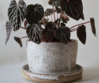 Handgjord keramik LoL ceramic flower pot